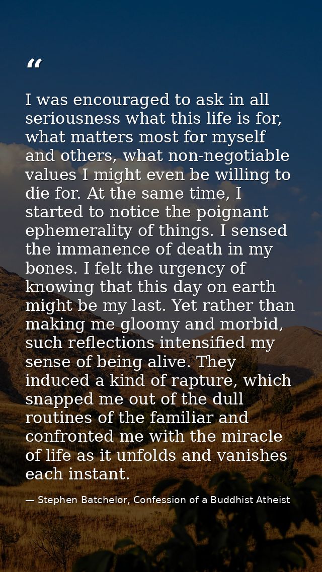 I was encouraged to ask in all seriousness what this life is for, what matters most for myself and others, what non-nego — Stephen Batchelor, Confession of a Buddhist Atheist