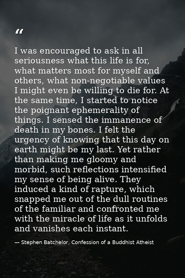 I was encouraged to ask in all seriousness what this life is for, what matters most for myself and others, what non-nego — Stephen Batchelor, Confession of a Buddhist Atheist