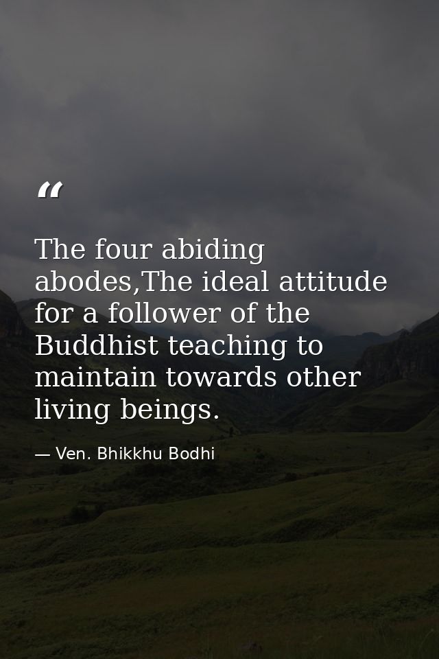 The four abiding abodes,The ideal attitude for a follower of the Buddhist teaching to maintain towards other living bein — Ven. Bhikkhu Bodhi