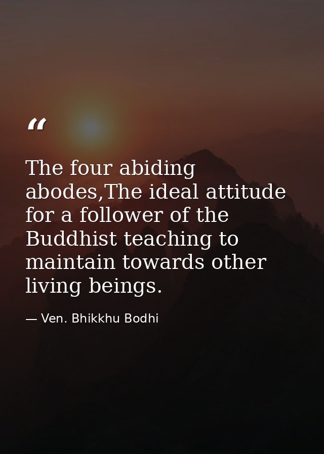 The four abiding abodes,The ideal attitude for a follower of the Buddhist teaching to maintain towards other living bein — Ven. Bhikkhu Bodhi