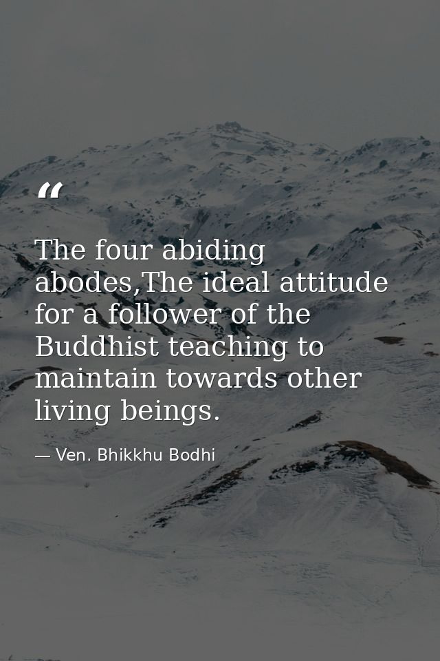 The four abiding abodes,The ideal attitude for a follower of the Buddhist teaching to maintain towards other living bein — Ven. Bhikkhu Bodhi
