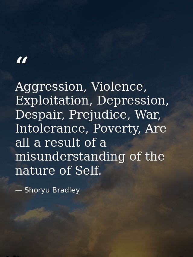 Aggression, Violence, Exploitation, Depression, Despair, Prejudice, War, Intolerance, Poverty, Are all a result of a mis — Shoryu Bradley