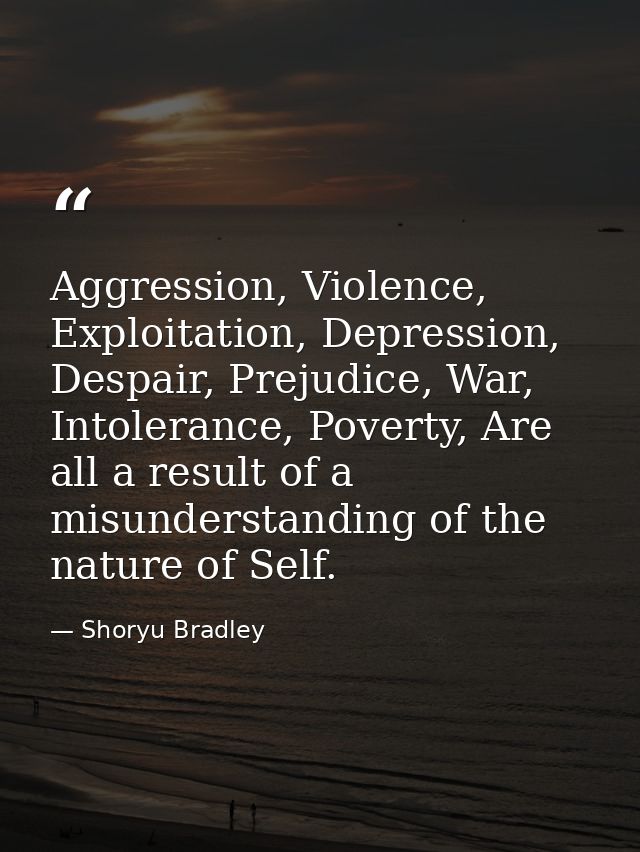 Aggression, Violence, Exploitation, Depression, Despair, Prejudice, War, Intolerance, Poverty, Are all a result of a mis — Shoryu Bradley