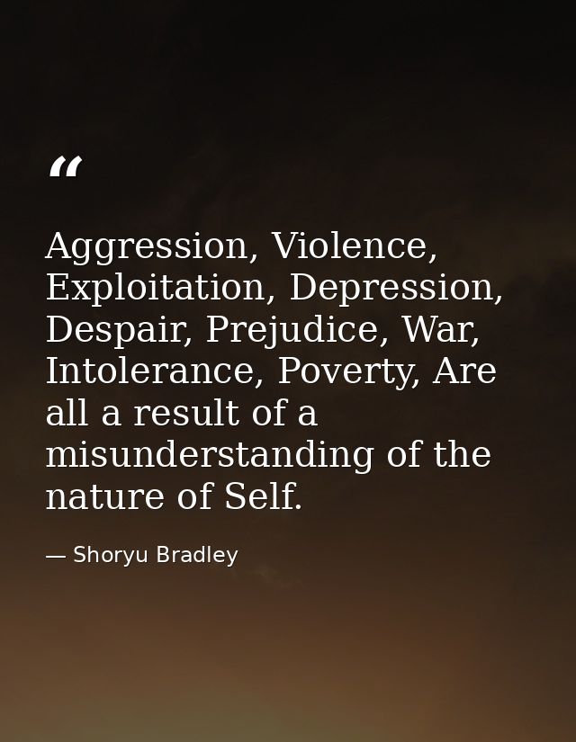 Aggression, Violence, Exploitation, Depression, Despair, Prejudice, War, Intolerance, Poverty, Are all a result of a mis — Shoryu Bradley