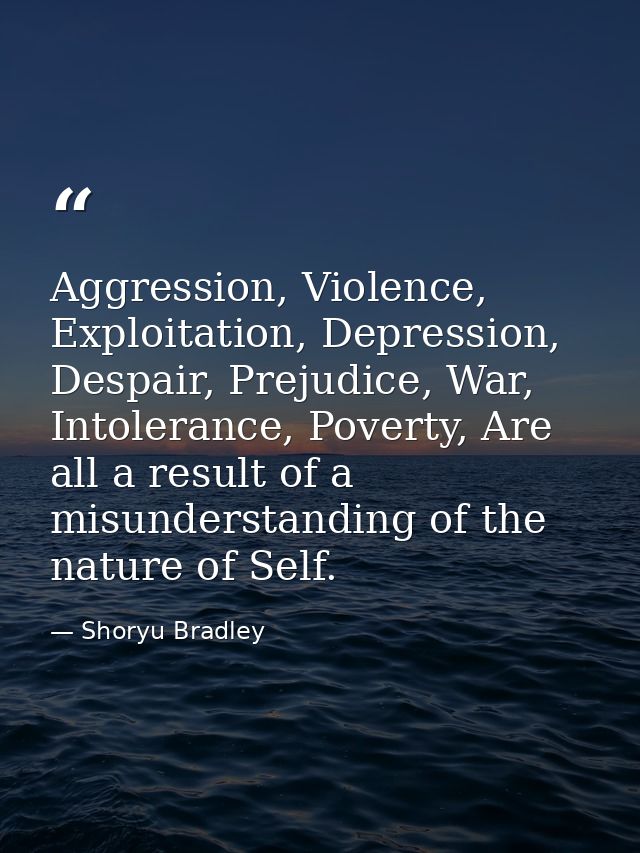 Aggression, Violence, Exploitation, Depression, Despair, Prejudice, War, Intolerance, Poverty, Are all a result of a mis — Shoryu Bradley