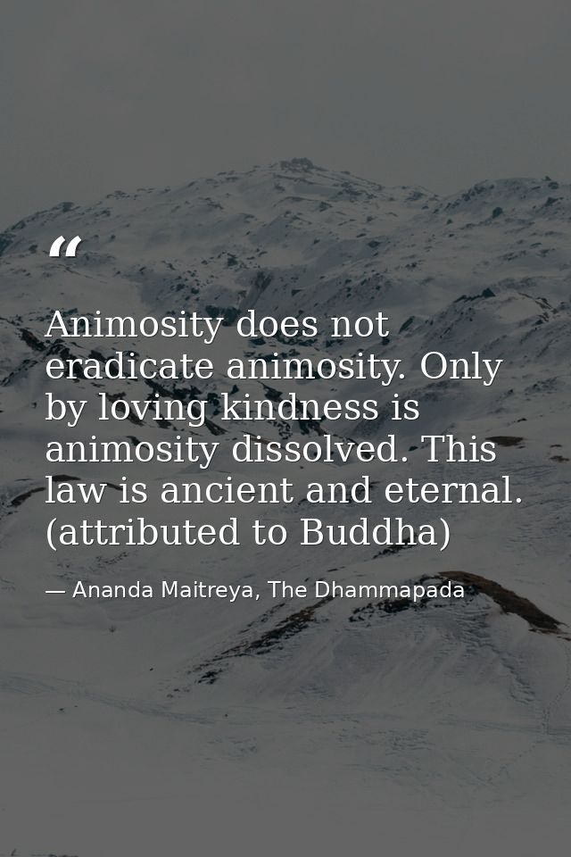 Animosity does not eradicate animosity. Only by loving kindness is animosity dissolved. This law is ancient and eternal. — Ananda Maitreya, The Dhammapada