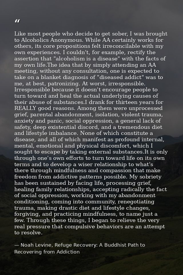 Like most people who decide to get sober, I was brought to Alcoholics Anonymous. While AA certainly works for others, it — Noah Levine, Refuge Recovery: A Buddhist Path to Recovering from Addiction