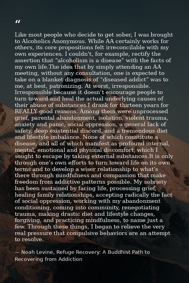 Like most people who decide to get sober, I was brought to Alcoholics Anonymous. While AA certainly works for others, it — Noah Levine, Refuge Recovery: A Buddhist Path to Recovering from Addiction