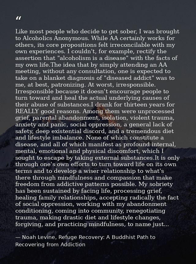 Like most people who decide to get sober, I was brought to Alcoholics Anonymous. While AA certainly works for others, it — Noah Levine, Refuge Recovery: A Buddhist Path to Recovering from Addiction