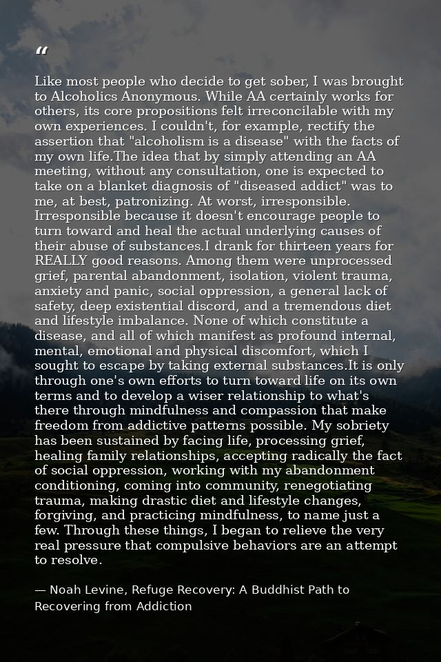 Like most people who decide to get sober, I was brought to Alcoholics Anonymous. While AA certainly works for others, it — Noah Levine, Refuge Recovery: A Buddhist Path to Recovering from Addiction