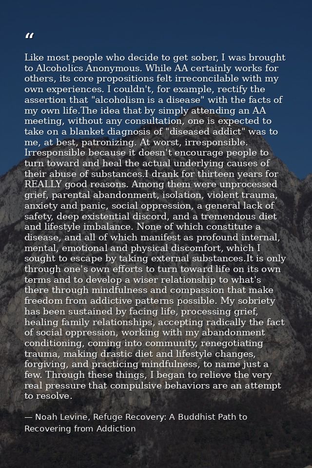 Like most people who decide to get sober, I was brought to Alcoholics Anonymous. While AA certainly works for others, it — Noah Levine, Refuge Recovery: A Buddhist Path to Recovering from Addiction