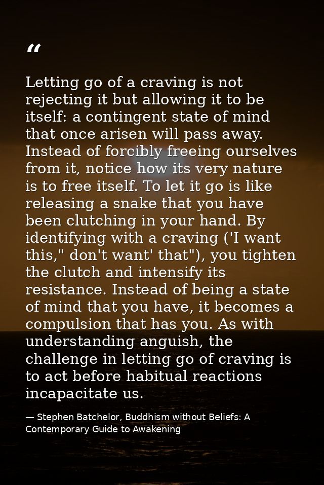 Letting go of a craving is not rejecting it but allowing it to be itself: a contingent state of mind that once arisen wi — Stephen Batchelor, Buddhism without Beliefs: A Contemporary Guide to Awakening