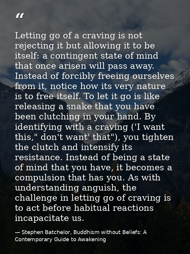 Letting go of a craving is not rejecting it but allowing it to be itself: a contingent state of mind that once arisen wi — Stephen Batchelor, Buddhism without Beliefs: A Contemporary Guide to Awakening