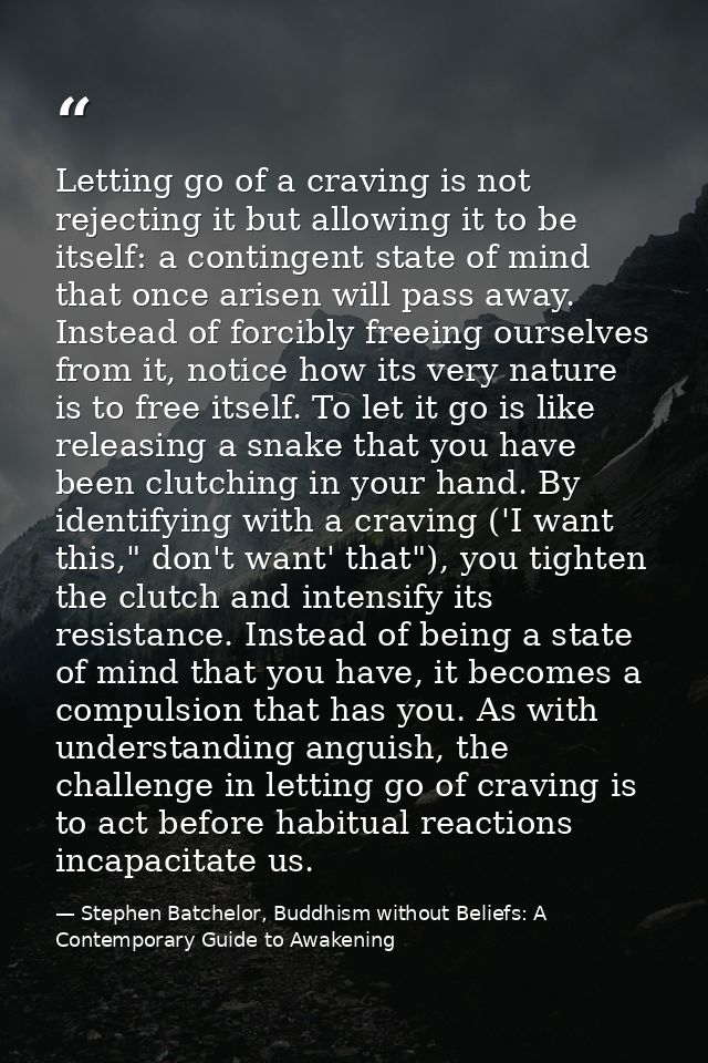 Letting go of a craving is not rejecting it but allowing it to be itself: a contingent state of mind that once arisen wi — Stephen Batchelor, Buddhism without Beliefs: A Contemporary Guide to Awakening