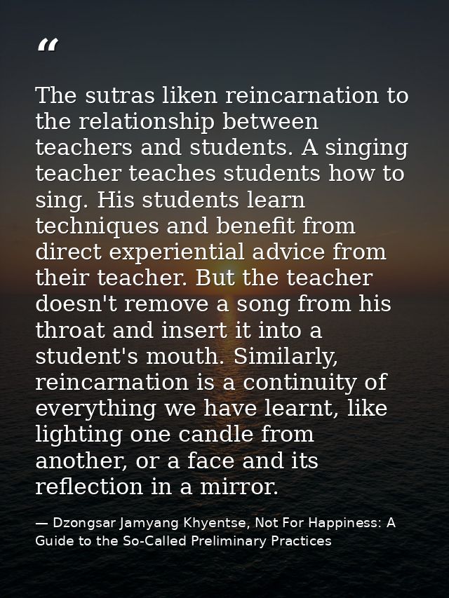 The sutras liken reincarnation to the relationship between teachers and students. A singing teacher teaches students how — Dzongsar Jamyang Khyentse, Not For Happiness: A Guide to the So-Called Preliminary Practices