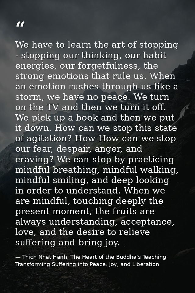 We have to learn the art of stopping - stopping our thinking, our habit energies, our forgetfulness, the strong emotions — Thich Nhat Hanh, The Heart of the Buddha's Teaching: Transforming Suffering into Peace, Joy, and Liberation