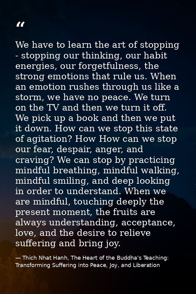 We have to learn the art of stopping - stopping our thinking, our habit energies, our forgetfulness, the strong emotions — Thich Nhat Hanh, The Heart of the Buddha's Teaching: Transforming Suffering into Peace, Joy, and Liberation