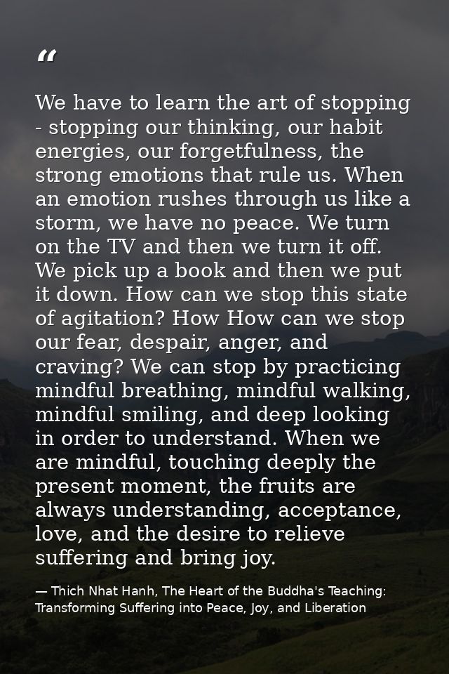 We have to learn the art of stopping - stopping our thinking, our habit energies, our forgetfulness, the strong emotions — Thich Nhat Hanh, The Heart of the Buddha's Teaching: Transforming Suffering into Peace, Joy, and Liberation