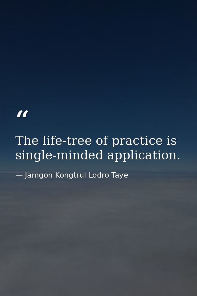 The life-tree of practice is single-minded application. — Jamgon Kongtrul Lodro Taye