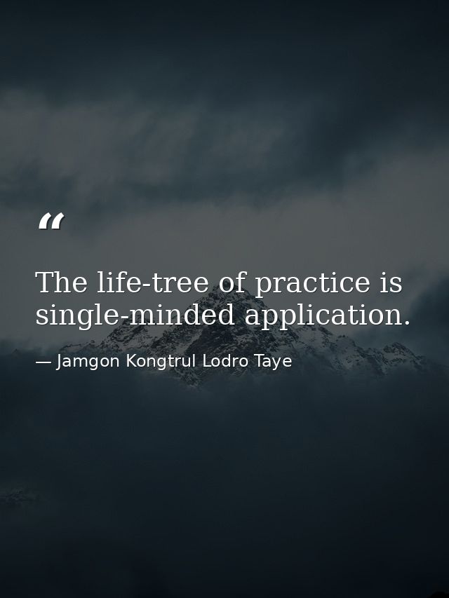 The life-tree of practice is single-minded application. — Jamgon Kongtrul Lodro Taye