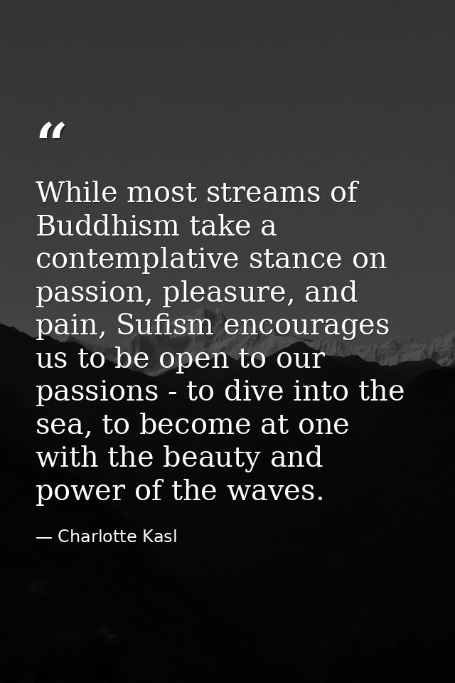 While most streams of Buddhism take a contemplative stance on passion, pleasure, and pain, Sufism encourages us to be op — Charlotte Kasl