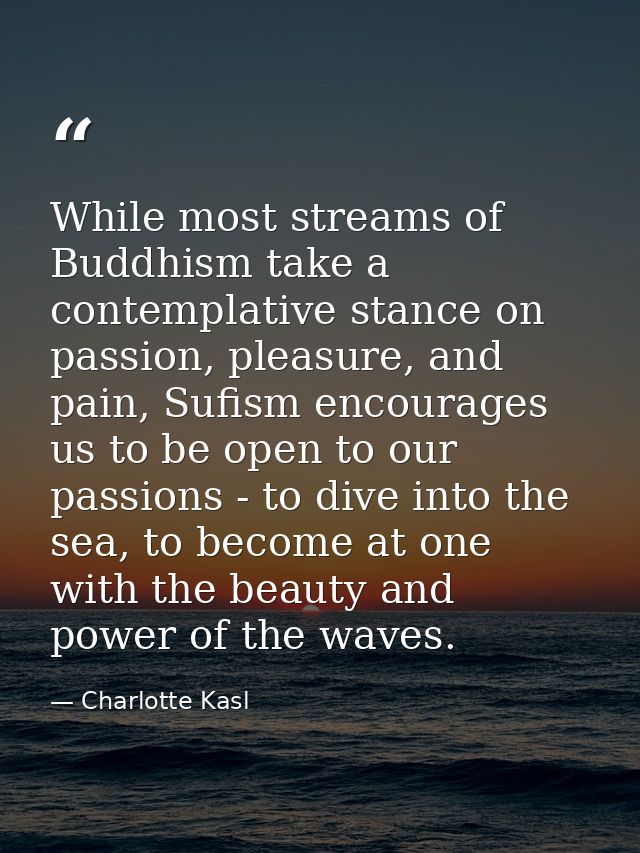 While most streams of Buddhism take a contemplative stance on passion, pleasure, and pain, Sufism encourages us to be op — Charlotte Kasl
