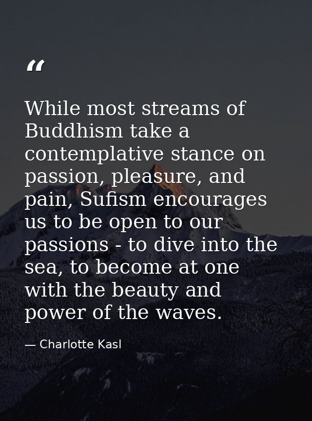 While most streams of Buddhism take a contemplative stance on passion, pleasure, and pain, Sufism encourages us to be op — Charlotte Kasl