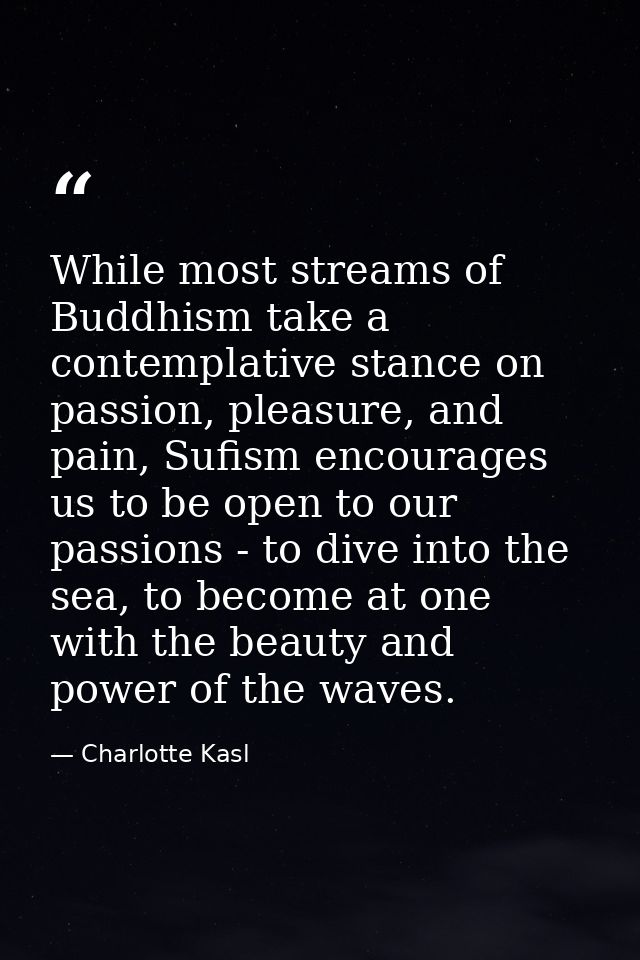 While most streams of Buddhism take a contemplative stance on passion, pleasure, and pain, Sufism encourages us to be op — Charlotte Kasl