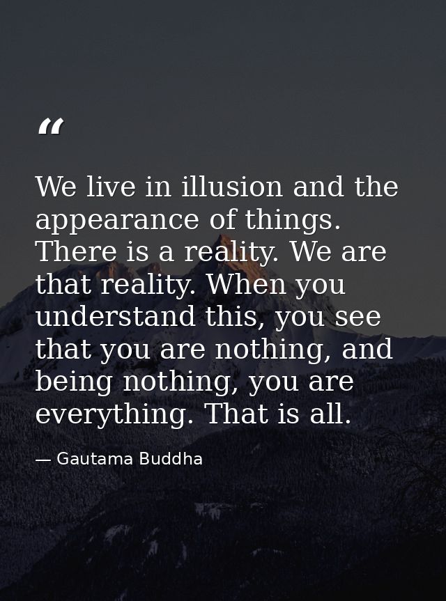 We live in illusion and the appearance of things. There is a reality. We are that reality. When you understand this, you — Gautama Buddha