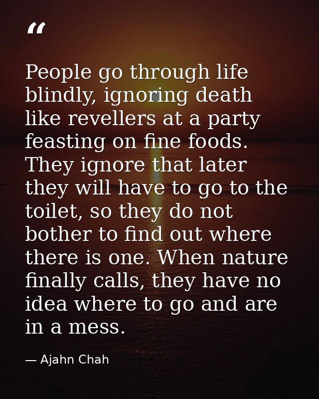 People go through life blindly, ignoring death like revellers at a party feasting on fine foods. They ignore that later  — Ajahn Chah