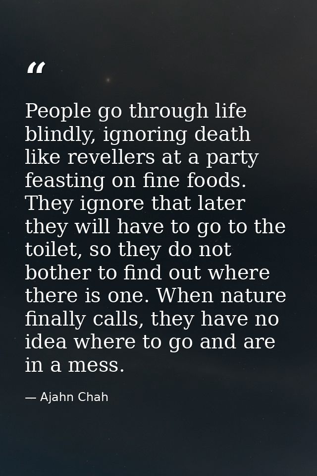 People go through life blindly, ignoring death like revellers at a party feasting on fine foods. They ignore that later  — Ajahn Chah