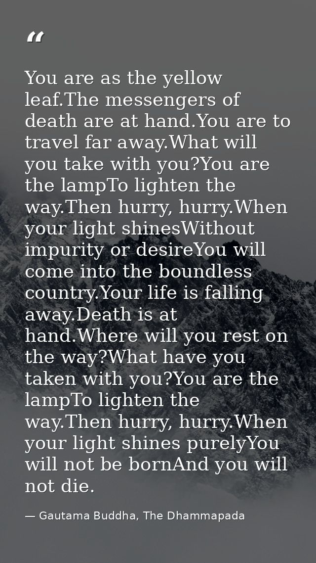 You are as the yellow leaf.The messengers of death are at hand.You are to travel far away.What will you take with you?Yo — Gautama Buddha, The Dhammapada