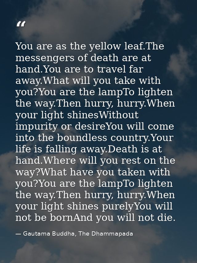 You are as the yellow leaf.The messengers of death are at hand.You are to travel far away.What will you take with you?Yo — Gautama Buddha, The Dhammapada