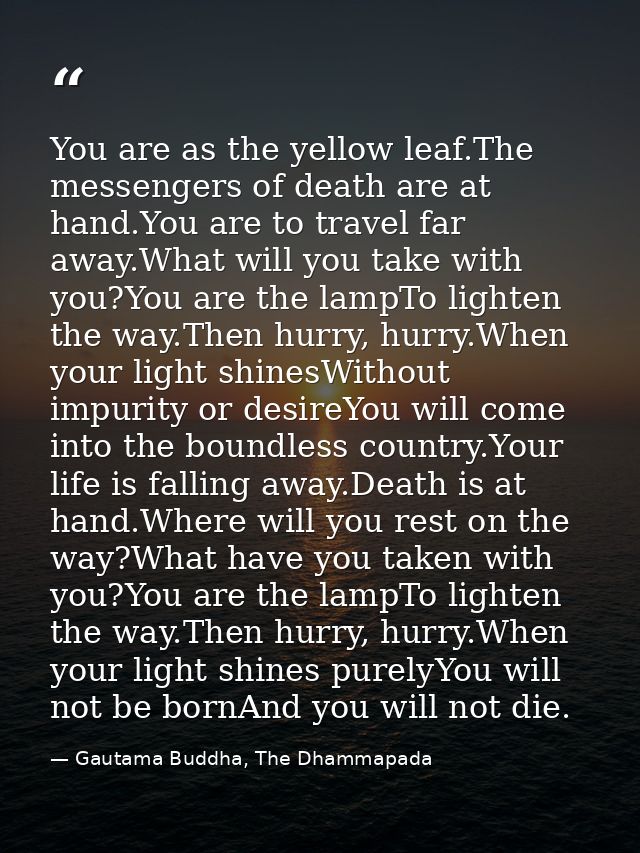 You are as the yellow leaf.The messengers of death are at hand.You are to travel far away.What will you take with you?Yo — Gautama Buddha, The Dhammapada