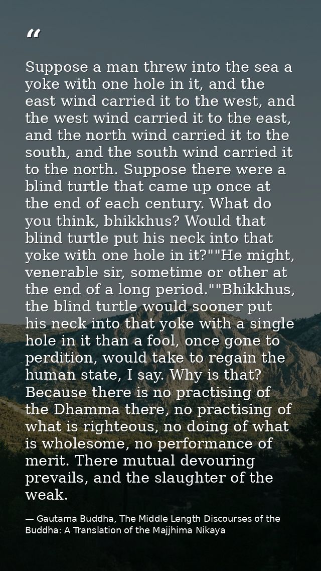 Suppose a man threw into the sea a yoke with one hole in it, and the east wind carried it to the west, and the west wind — Gautama Buddha, The Middle Length Discourses of the Buddha: A Translation of the Majjhima Nikaya