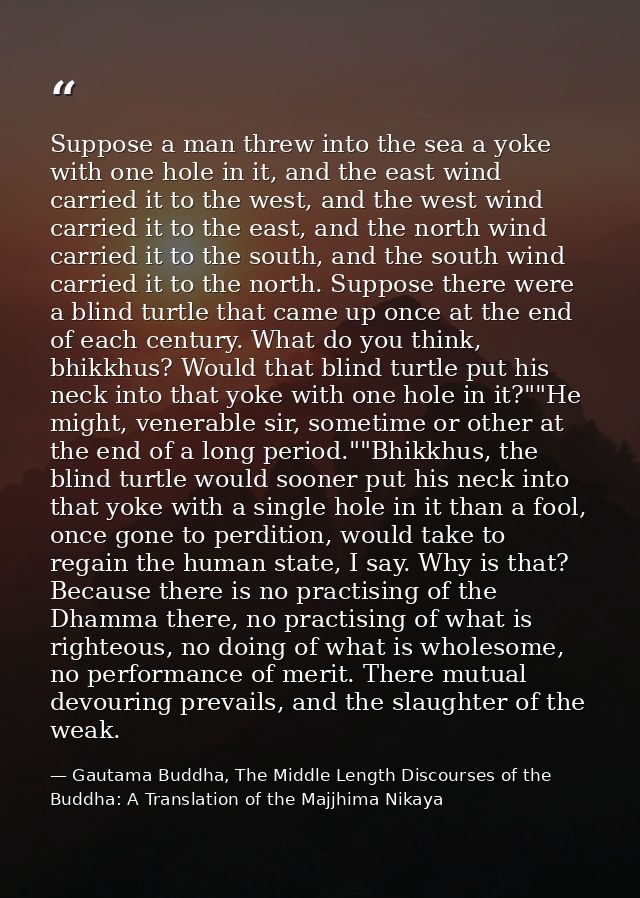 Suppose a man threw into the sea a yoke with one hole in it, and the east wind carried it to the west, and the west wind — Gautama Buddha, The Middle Length Discourses of the Buddha: A Translation of the Majjhima Nikaya