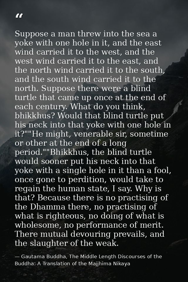Suppose a man threw into the sea a yoke with one hole in it, and the east wind carried it to the west, and the west wind — Gautama Buddha, The Middle Length Discourses of the Buddha: A Translation of the Majjhima Nikaya