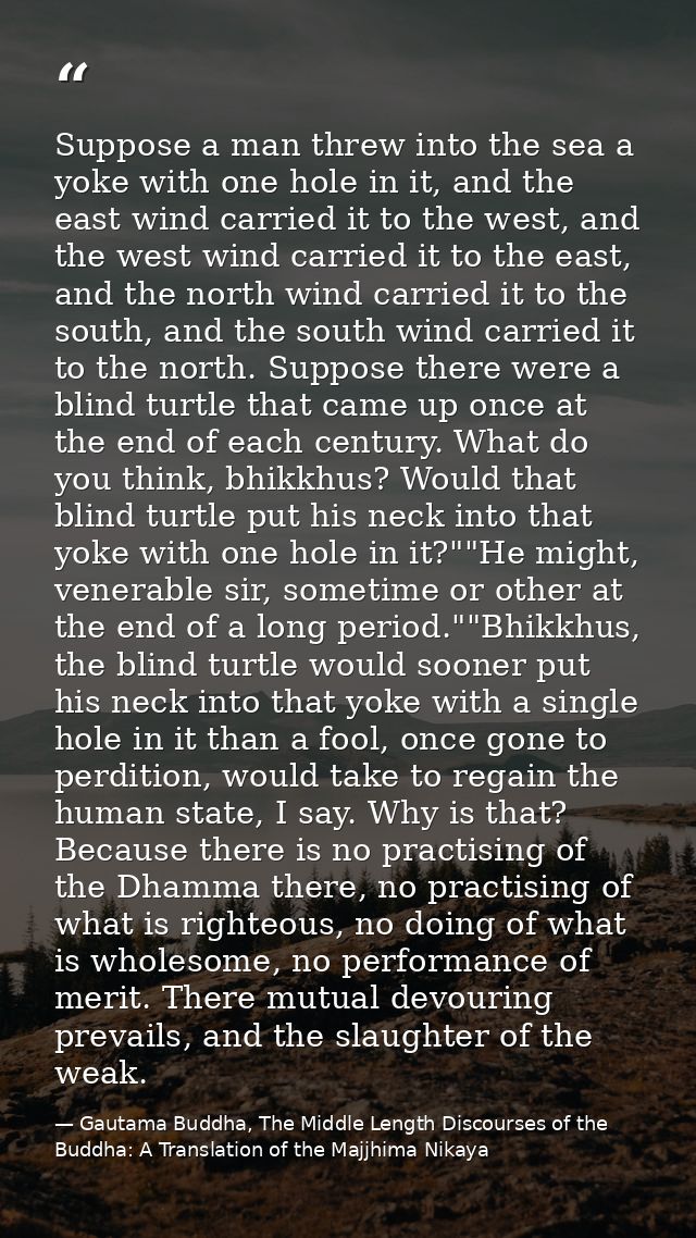 Suppose a man threw into the sea a yoke with one hole in it, and the east wind carried it to the west, and the west wind — Gautama Buddha, The Middle Length Discourses of the Buddha: A Translation of the Majjhima Nikaya