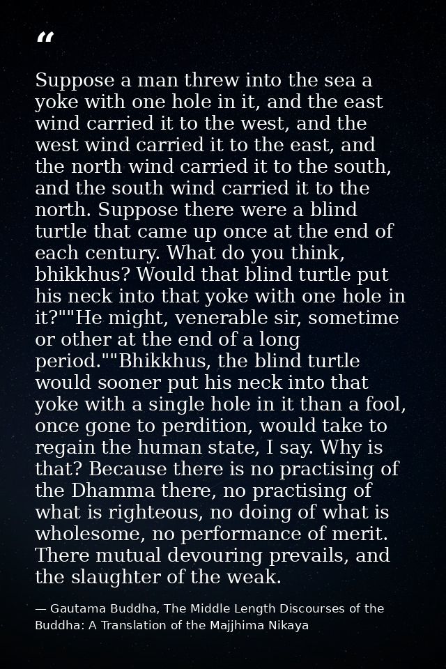 Suppose a man threw into the sea a yoke with one hole in it, and the east wind carried it to the west, and the west wind — Gautama Buddha, The Middle Length Discourses of the Buddha: A Translation of the Majjhima Nikaya
