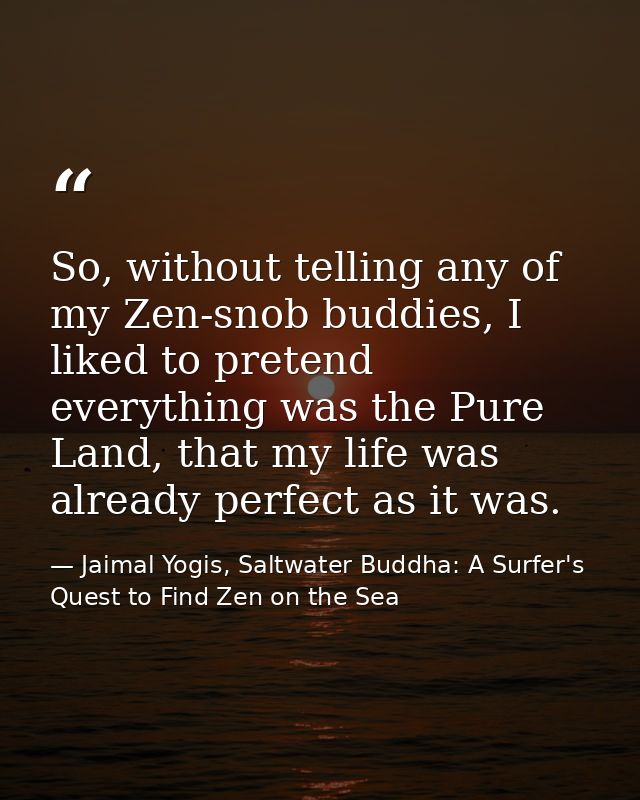 So, without telling any of my Zen-snob buddies, I liked to pretend everything was the Pure Land, that my life was alread — Jaimal Yogis, Saltwater Buddha: A Surfer's Quest to Find Zen on the Sea