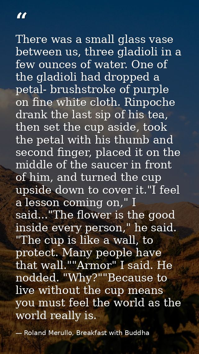 There was a small glass vase between us, three gladioli in a few ounces of water. One of the gladioli had dropped a peta — Roland Merullo, Breakfast with Buddha