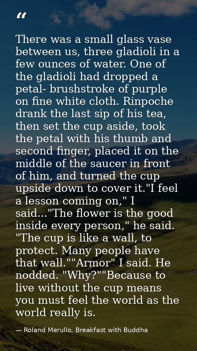 There was a small glass vase between us, three gladioli in a few ounces of water. One of the gladioli had dropped a peta — Roland Merullo, Breakfast with Buddha