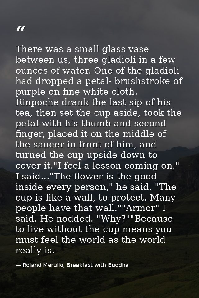 There was a small glass vase between us, three gladioli in a few ounces of water. One of the gladioli had dropped a peta — Roland Merullo, Breakfast with Buddha