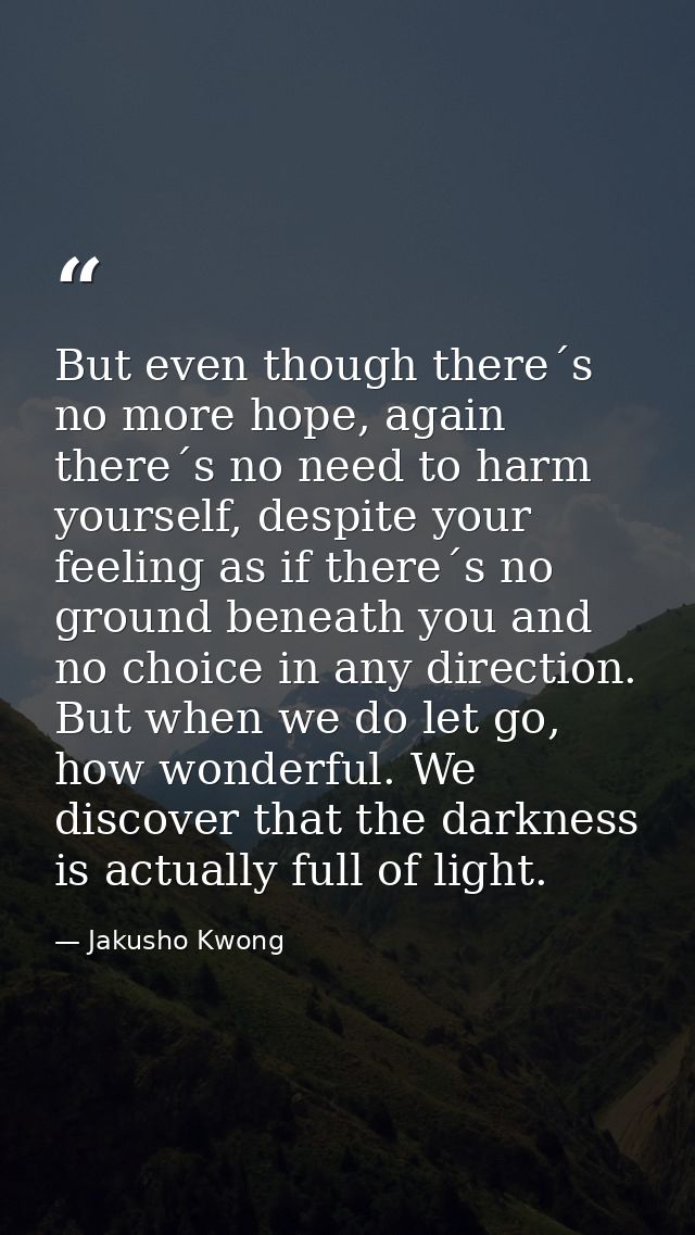 But even though there´s no more hope, again there´s no need to harm yourself, despite your feeling as if there´s no grou — Jakusho Kwong