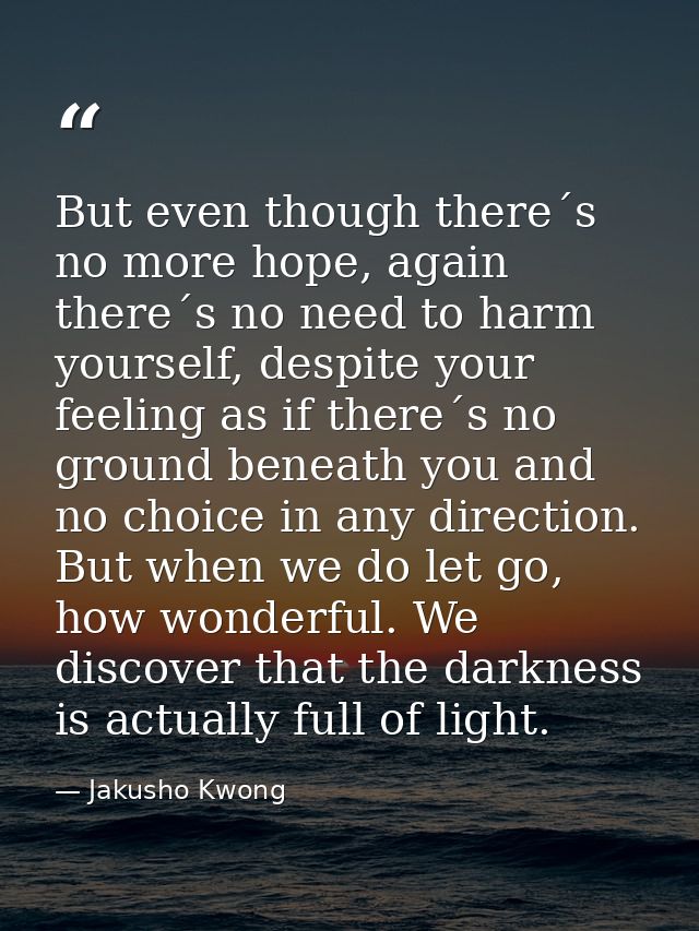 But even though there´s no more hope, again there´s no need to harm yourself, despite your feeling as if there´s no grou — Jakusho Kwong