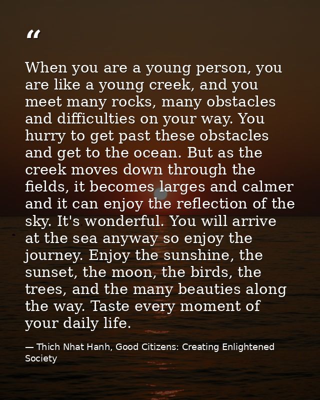 When you are a young person, you are like a young creek, and you meet many rocks, many obstacles and difficulties on you — Thich Nhat Hanh, Good Citizens: Creating Enlightened Society