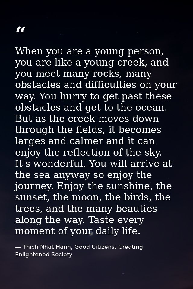 When you are a young person, you are like a young creek, and you meet many rocks, many obstacles and difficulties on you — Thich Nhat Hanh, Good Citizens: Creating Enlightened Society
