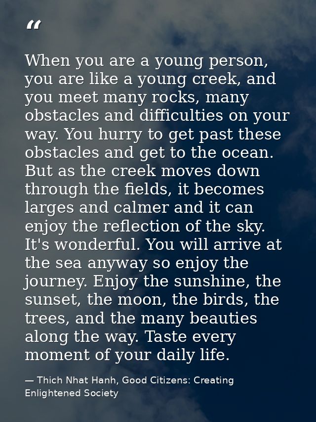 When you are a young person, you are like a young creek, and you meet many rocks, many obstacles and difficulties on you — Thich Nhat Hanh, Good Citizens: Creating Enlightened Society