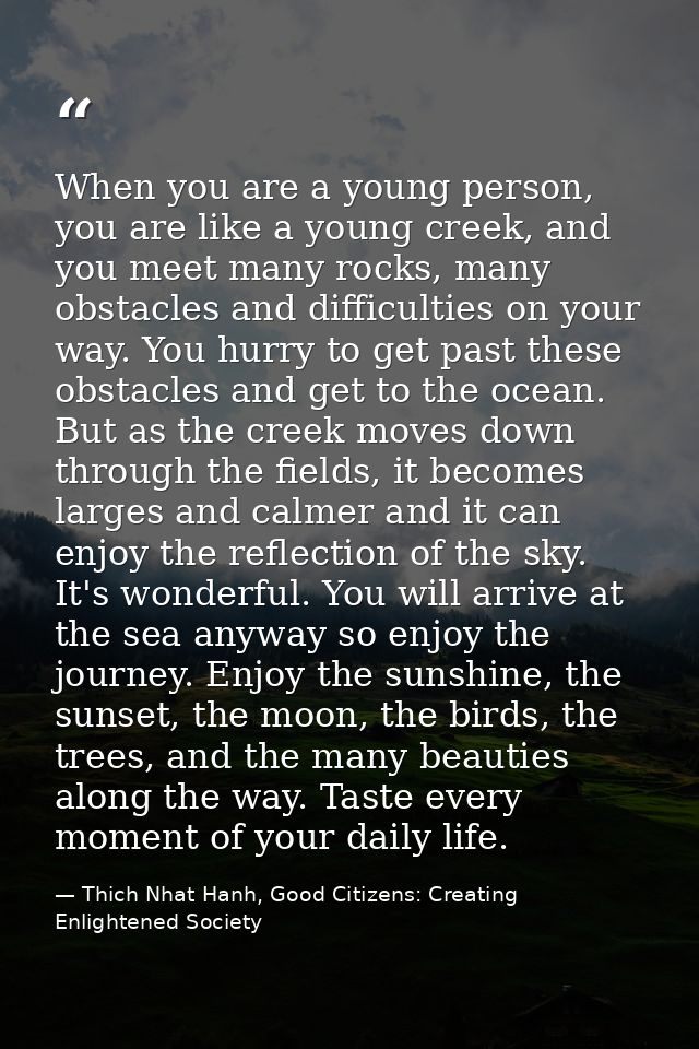 When you are a young person, you are like a young creek, and you meet many rocks, many obstacles and difficulties on you — Thich Nhat Hanh, Good Citizens: Creating Enlightened Society