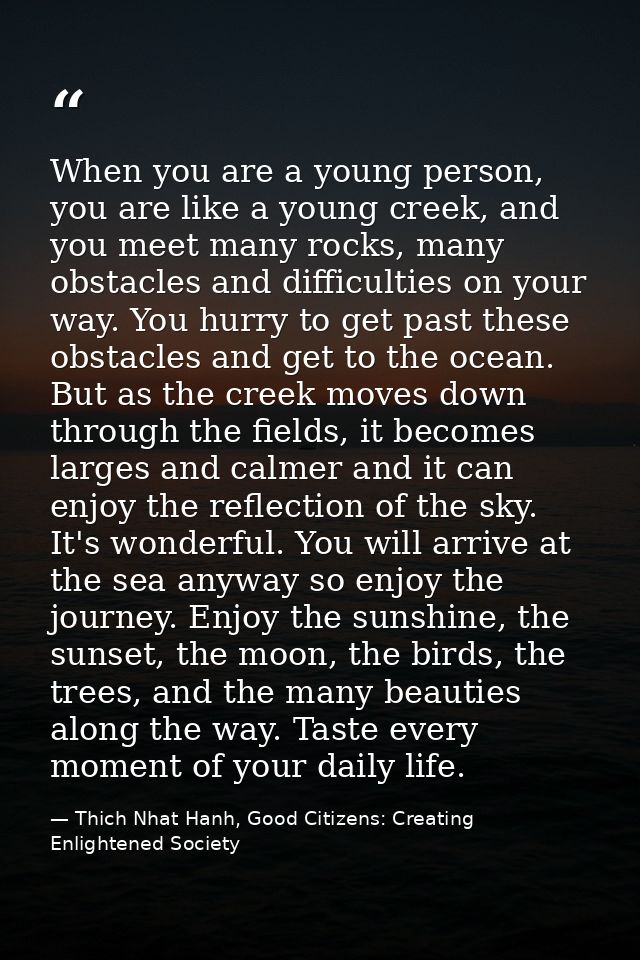 When you are a young person, you are like a young creek, and you meet many rocks, many obstacles and difficulties on you — Thich Nhat Hanh, Good Citizens: Creating Enlightened Society